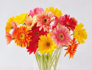 Top 10 kiểu cấm hoa trang trí bàn tiệc dành cho liên hoa chiêu đãi