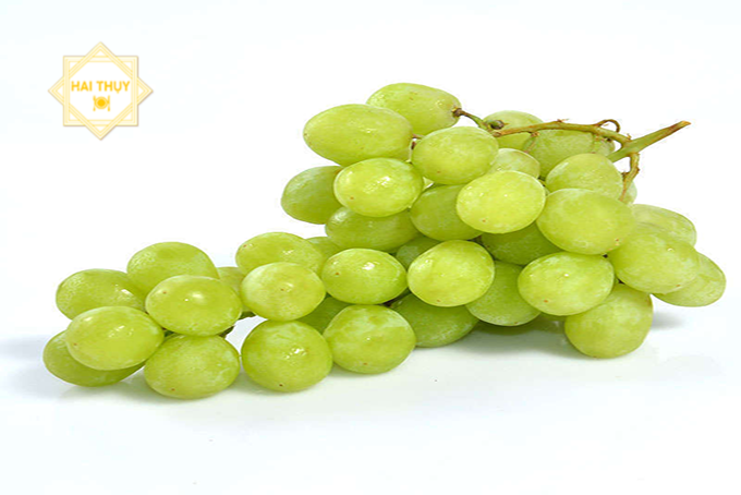 6204d291b566c32596789f82